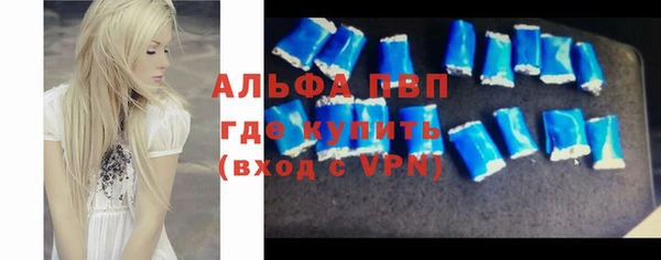 индика Михайлов