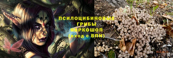 прущий лед Михайловка