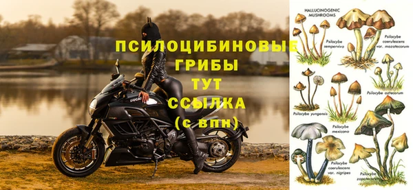 индика Михайлов