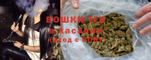индика Михайлов