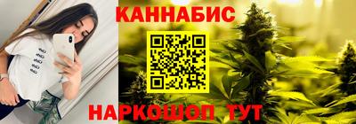 шишки Гай