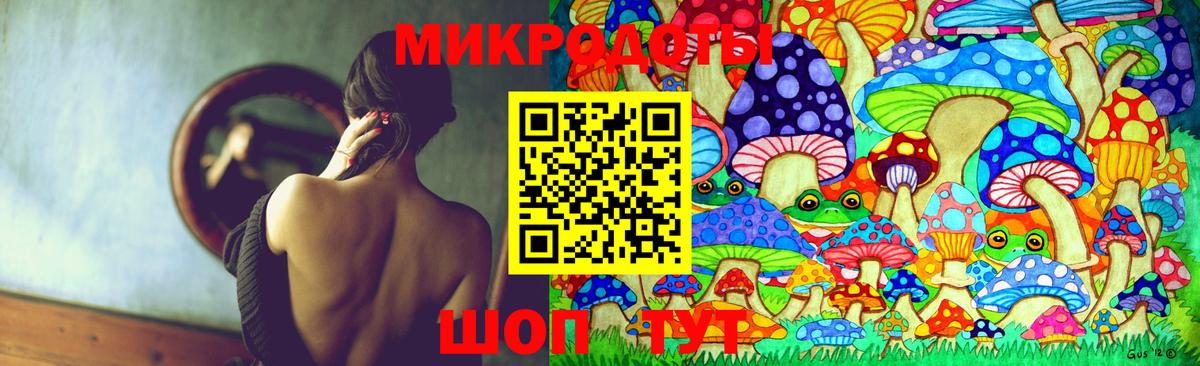 Псилоцибиновые грибы мицелий Благодарный