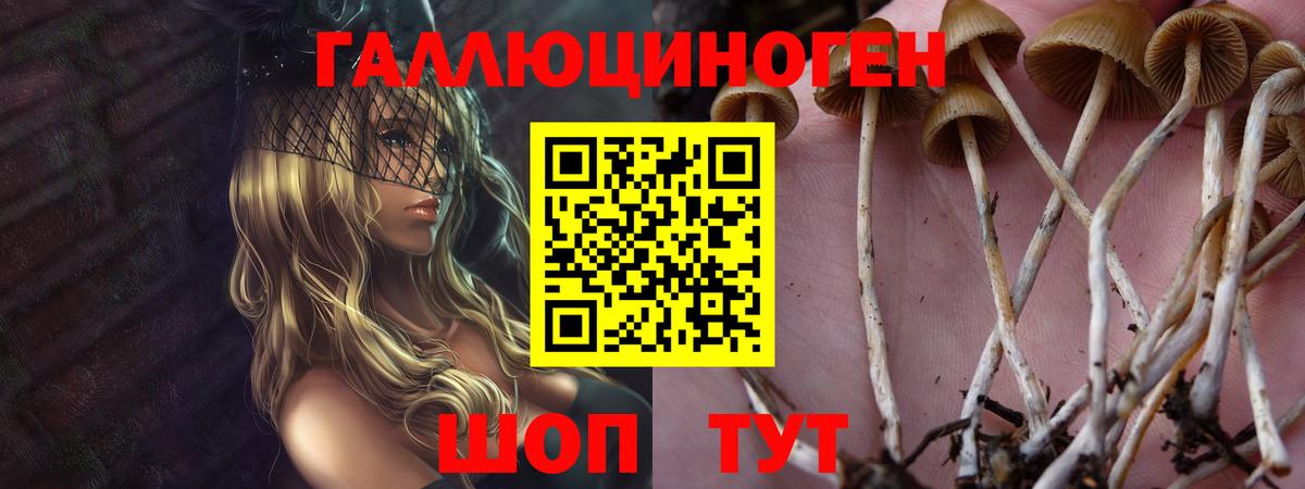 Благодарный  Псилоцибиновые грибы ЛСД  Вход с VPN 